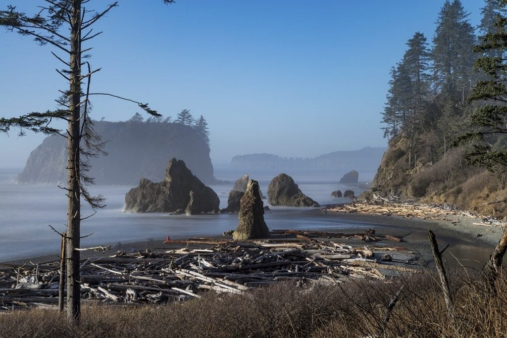 Washington state coastline in Olympic National Park